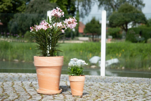 Elegant Pot Marble