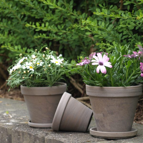 Flower Pot Basalt