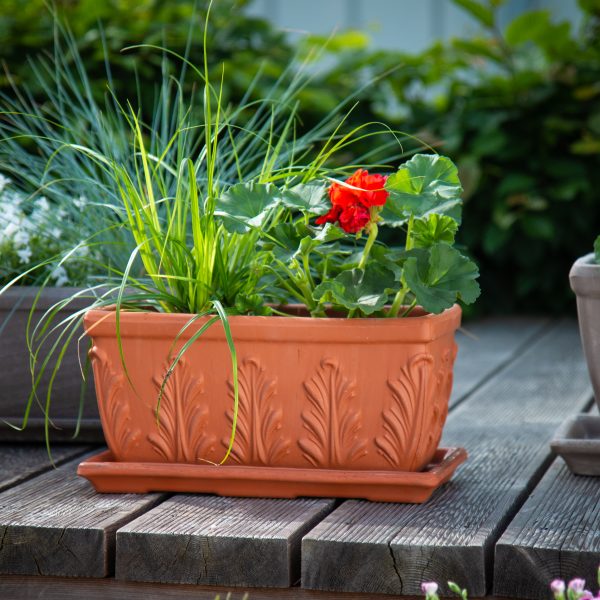 Leaf Trough