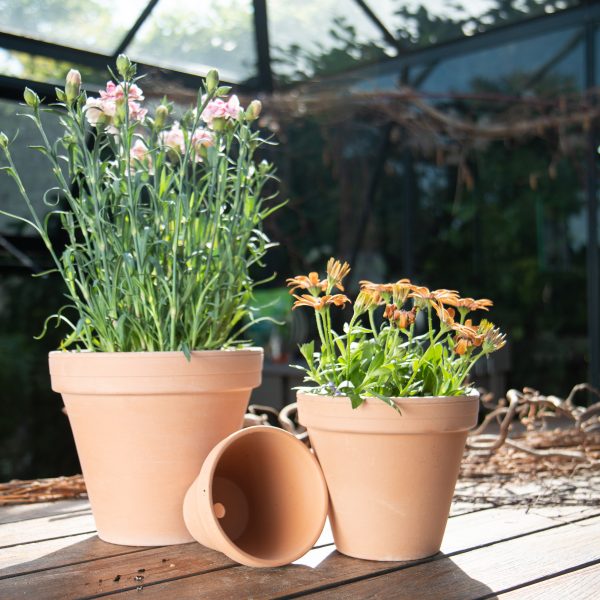 Flower Pot Antique