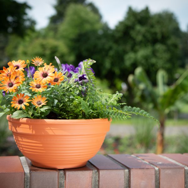 Ribbed Bowl